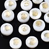 Freshwater Shell Beads SHEL-T018-17-1