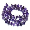 Natural Amethyst Beads Strands G-K245-H18-05-2