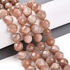 Natural Sunstone Beads Strands G-S345-10mm-23-2