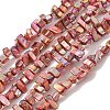 Natural Freshwater Shell Beads Strands BSHE-H018-07B-1