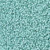 MIYUKI Delica Beads SEED-JP0008-DB0626-3