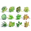 PVC Artificial Succulent Plant PW-WGE7F6E-08-1