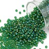 TOHO Round Seed Beads SEED-JPTR11-0167BF-1