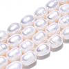 Natural Cultured Freshwater Pearl Beads Strands PEAR-N012-07Q-4
