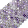 Natural Amethyst Beads Strands G-K389-A43-01-1