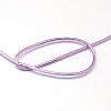 Aluminum Wire AW-S001-0.6mm-06-2