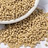 MIYUKI Round Rocailles Beads X-SEED-G008-RR0493-1