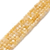 Natural Golden Yellow Shell Beads Strands SSHEL-G029-01C-1