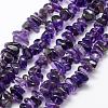 Natural Amethyst Beads Strands G-F521-19-1