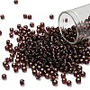 TOHO 6/0 Round Beads X-SEED-TR06-0026C-1