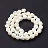 Natural Trochid Shell Beads Strands SSHEL-G023-04A-3