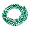 Natural Freshwater Shell Beads Strands BSHE-T009A-01J-2