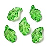 Transparent Acrylic Pendant OACR-E039-69E-1