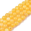 Natural Freshwater Shell Beads Strands X-BSHE-T009A-01I-1