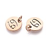 304 Stainless Steel Charms STAS-Q201-T445-4R-2