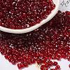 Spray Painted Glass Seed Beads SEED-F005-11A-02-1