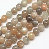 Natural Multi-Moonstone Beads Strands G-J157-12mm-06-1