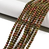 Natural Unakite Beads Strands G-G143-A04-01-2