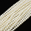 Natural Cultured Freshwater Pearl Beads Strands X-PEAR-L001-C-13-1