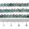 Natural Apatite Beads Strands G-G161-A11-03-5