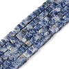 Natural Blue Spot Jasper Beads Strands G-I394-A08-2