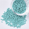 11/0 Grade A Glass Seed Beads SEED-S030-0729-1