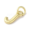 Rack Plating Brass Charms KK-P245-06G-J-2