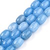 Barrel Shaped Dyed Natural Aquamarine Beads Strands X-G-S114-25-01-1