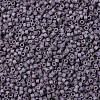 MIYUKI Delica Beads X-SEED-J020-DB1062-3