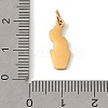 304 Stainless Steel with Enamel Pendants SA-CBAAF93-G09-3