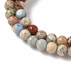Dyed Natural Regalite/Imperial Jasper/Sea Sediment Jasper Beads Strands G-B124-C05-04-3