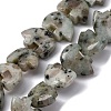 Natural Sesame Jasper Beads Strands G-F783-G05-01-1