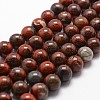 Natural Brecciated Jasper Bead Strands G-G735-35-10mm-1