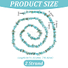 Natural Freshwater Shell Beads Strands BSHE-WH0006-05B-2