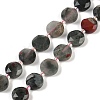 Natural Afican Bloodstone Beads Strands G-C116-A32-01-2