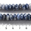 Natural Blue Spot Jasper Beads Strands G-P559-A15-02-5