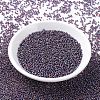 MIYUKI Round Rocailles Beads X-SEED-G007-RR1013-2