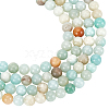  2 Strands Natural Flower Amazonite Beads Strands G-NB0004-46-1