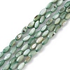 Natural Freshwater Shell Dyed Beads Strands SHEL-M018-13-11-1