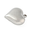 304 Stainless Steel Pendants STAS-S186-06A-P-2