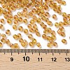 (Repacking Service Available) Round Glass Seed Beads SEED-C016-3mm-162C-3