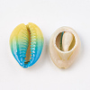 Spray Painted Natural Cowrie Shell Beads X-SHEL-S274-01C-2