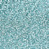 12/0 Grade A Round Glass Seed Beads SEED-Q007-F47-3