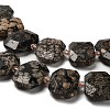 Natural Snowflake Obsidian Beads Strands G-H078-B22-01-4