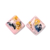 Transparent Resin Cabochons CRES-P019-05D-2