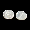 Carved Natural White Shell Cabochons SSHEL-N038-06B-08-2