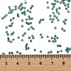 TOHO Round Seed Beads SEED-JPTR11-0179-4
