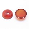 Natural Carnelian Cabochons G-P215-15-12mm-1