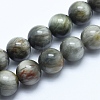 Natural Hawk's Eye Beads Strands G-E483-20-6mm-1