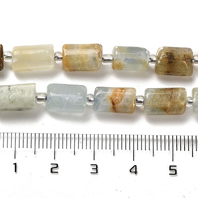 Natural Blue Calcite Beads Strands G-N327-06-05-1
